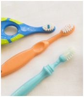right brushing buddy