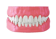 denture
